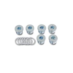 Beta 1495T 6db olajleeresztő csavar és alátét 13x1,25mm