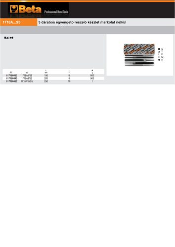 Beta 1718A10/S5 5 darabos egyengető reszelő készlet markolat nélkül 250mm