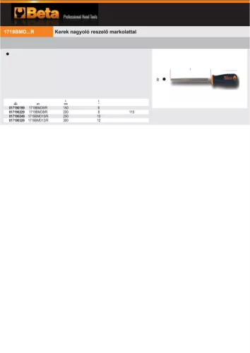 Beta 1719BMD8/R Kerek nagyoló reszelő markolattal 200mm