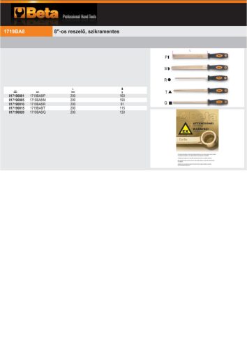 Beta 1719BA8/P 8"-os reszelő, szikramentes 200mm