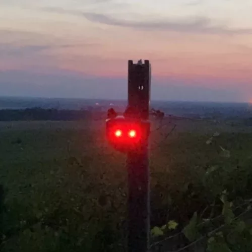 Doxmand Pirosmacska – Napelemes állatriasztó [2db]