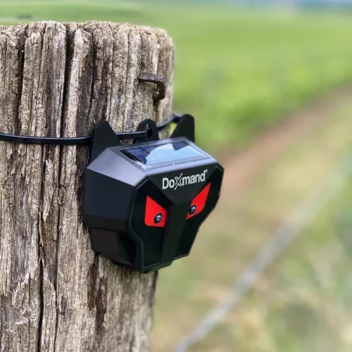 Doxmand Pirosmacska – Napelemes állatriasztó [2db]