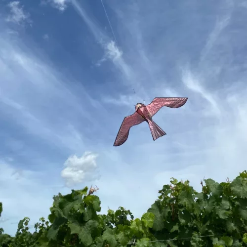 Doxmand Madárriasztó műsas – teleszkópos 6m