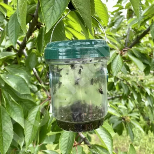 Doxmand napelemes rovarcsapda éjszakai LED UV fénnyel