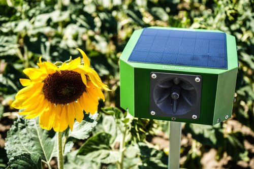 Doxmand VR4 ultrahangos vadriasztó