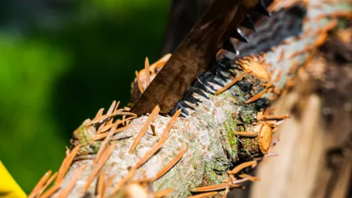 Topex Lap keretes fűrészhez - 530mm (nedves fához)