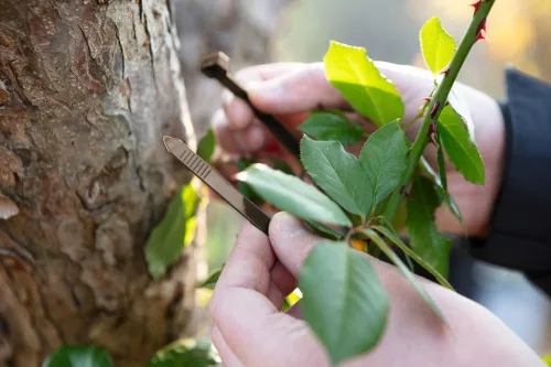 Neo Tools Kerti kötegelő, gyorskötöző 7,6x380mm, 50db, barna