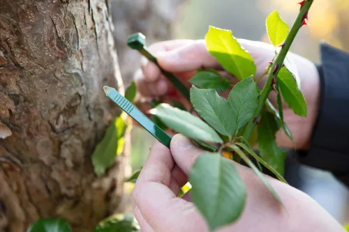 Neo Tools Kerti kötegelő, gyorskötöző 7,6x380mm, 50db, zöld