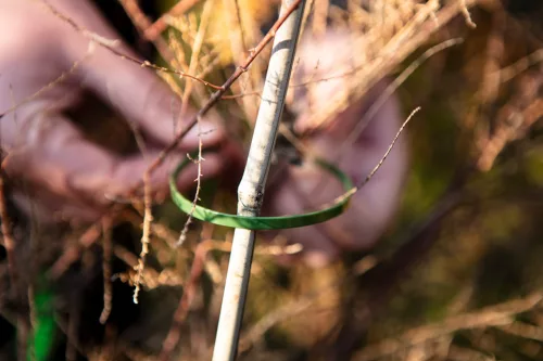 Neo Tools Kerti kötegelő, gyorskötöző 4,8x300mm, 50db, zöld