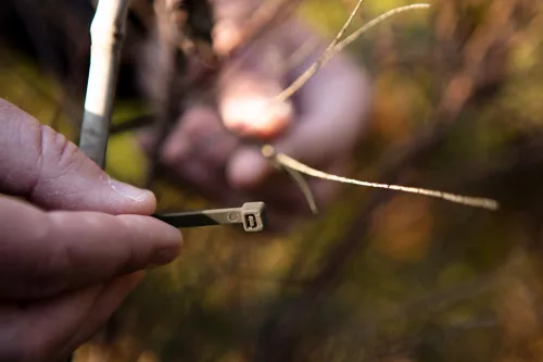 Neo Tools Kerti kötegelő, gyorskötöző 4,8x160mm, 50db, barna