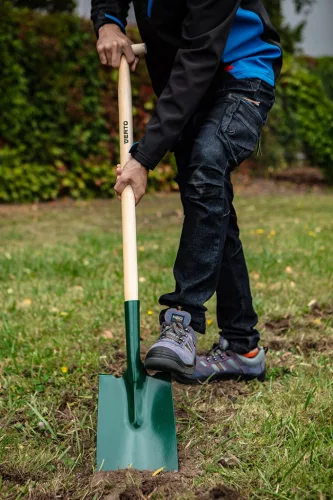 Verto Ásólapát, T markolattal, fa nyéllel, American