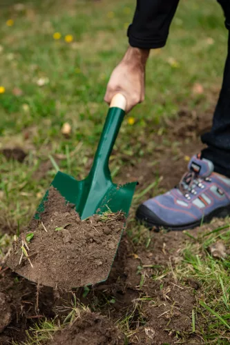 Verto Ásólapát, T markolattal, fa nyéllel, American