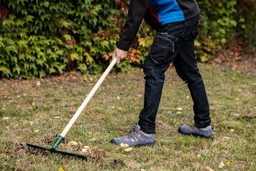 Verto Gereblye, 18 fogú, fa nyéllel