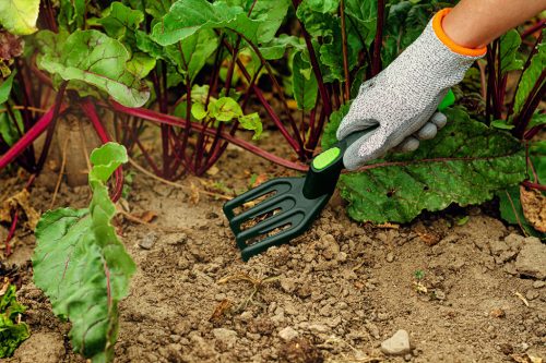 Verto Mini kultivátor, széles, műanyag