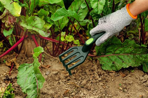 Verto Mini kultivátor, széles, műanyag