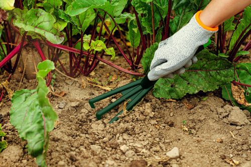 Verto Mini kultivátor, keskeny, műanyag