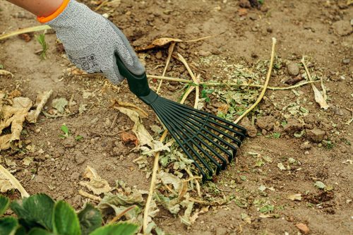 Verto Mini kertiszerszám készlet, 4 db műanyag (gereblye, villáskapa, lapát, kultivátor)