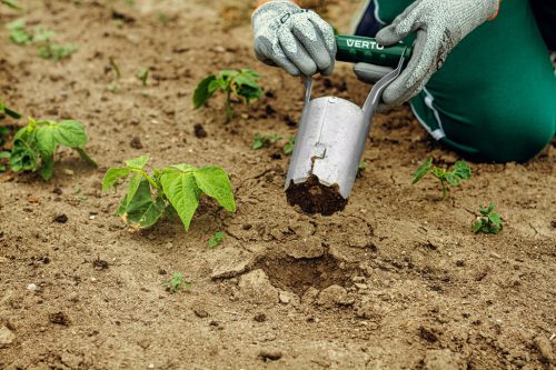 Verto Kézi palántázó, fém, rugós