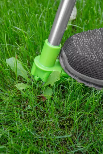 Verto Gyomkiszedő Verto