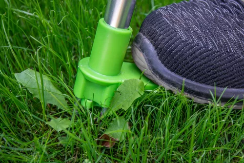 Verto Gyomkiszedő Verto