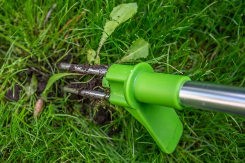 Verto Gyomkiszedő Verto