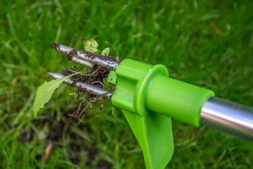 Verto Gyomkiszedő Verto