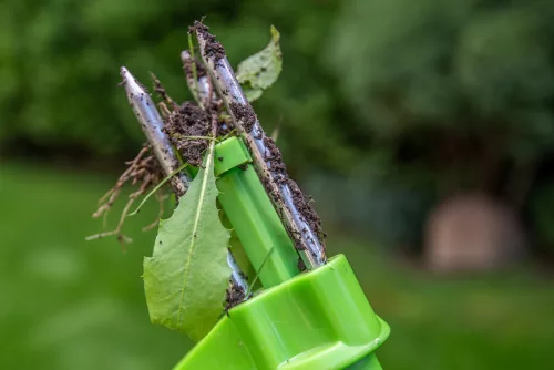 Verto Gyomkiszedő Verto