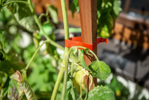 Verto Kézi növénykötöző gép, 25m szalag + 200db kapocs