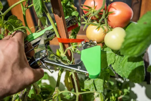 Verto Növénykötöző szalag + kapocs készlet 25m szalag + 10000 kapocs, 15G455-höz