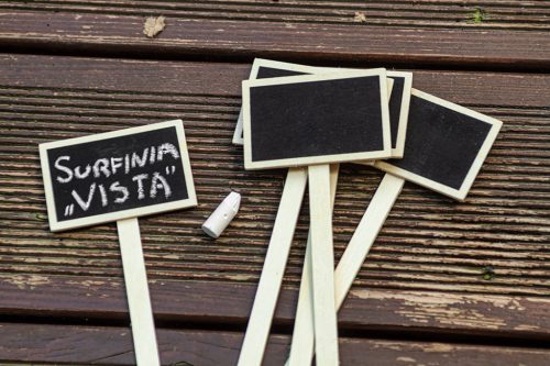 Verto Leszúrható növényjelölő tábla, 5db