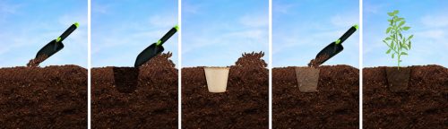 Verto Palántázó doboz, papír, 8x8x7,8cm, 18 db/cs