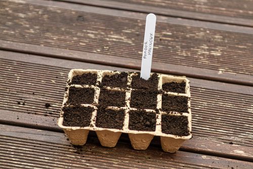 Verto Palántázó tálca, 16x12x4,5cm, 5 db/cs