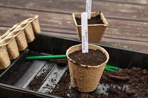 Verto Palántázó doboz+ tálca készlet, papír, 88db-os