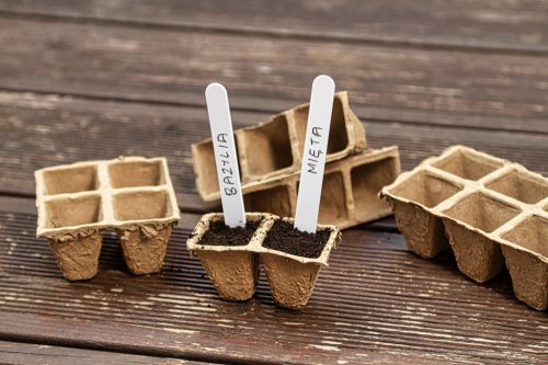 Verto Palántázó doboz+ tálca készlet, papír, 88db-os