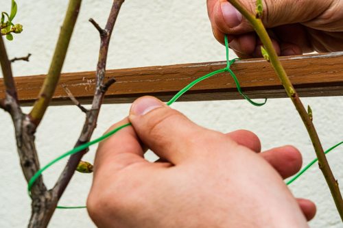 Verto kerti kötözőhuzal 1.5mm, 50m