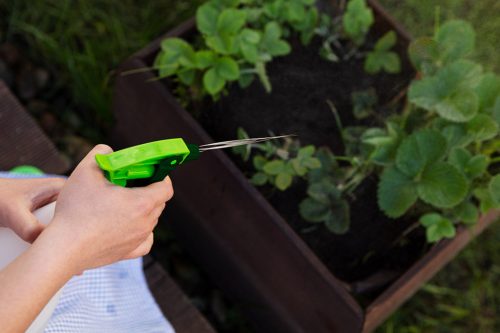 Verto Kézi pumpás permetező 550ml
