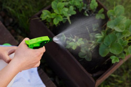 Verto Kézi pumpás permetező 550ml