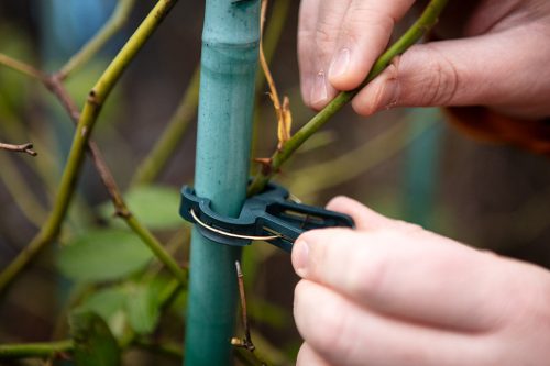 Verto Palántarögzítő klipsz készlet, 20db (10kicsi, 10nagy)