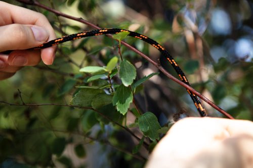 Neo Tools Kötél, fonatolt polipropilén 4mm/ 400m