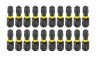 Graphite Torziós ütvecsavarozó bit Torx 30x25mm, 20db