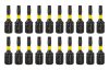 Graphite Torziós ütvecsavarozó bit Torx 10x25mm, 20db