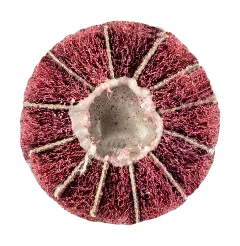 Graphite Csapos lamellás korong, 30x25x6mm, P100