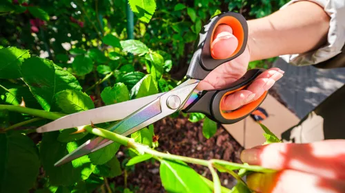 Neo Tools Olló, kovácsolt acél, titánium bevonattal, 2k fogantyúval 200mm