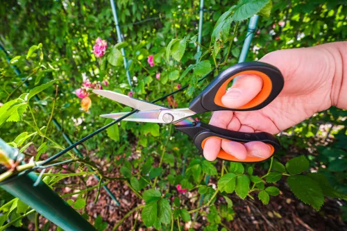 Neo Tools Olló, kovácsolt acél, titánium bevonattal, 2k fogantyúval 200mm