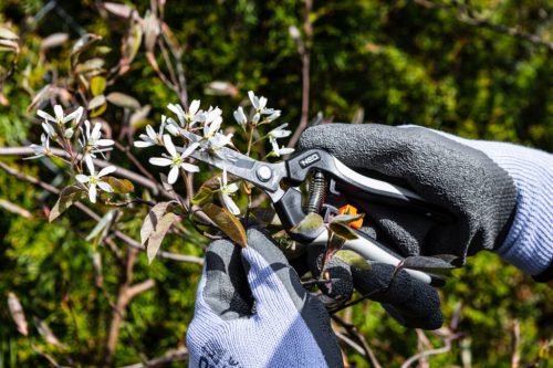 Neo Tools Munkakesztyű latex bevonatú pamut poliészterrel, 2143x, 9"