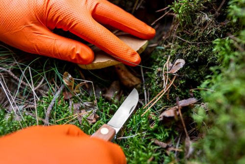 Neo Tools Munkakesztyű perforált nitril, narancssárga, 50db, XL