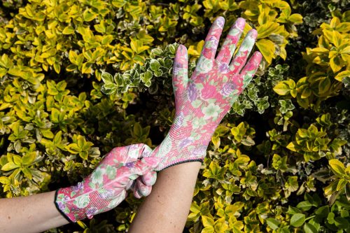 Verto Kertész kesztyű, pu bevonat, rózsamintás, 4131X, 7"