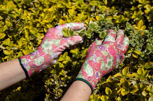 Verto Kertész kesztyű, pu bevonat, rózsamintás, 4131X, 8"