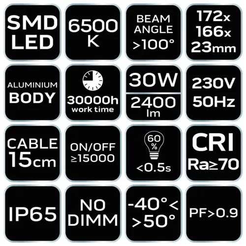 Neo Tools Reflektor 230V/30W, 2400lum, SMD led