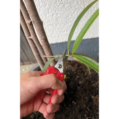 KS Tools Univerzális olló, Műanyag nyéllel 145 mm